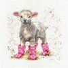 Bree Merryn Lottie The Lamb Cross Stitch Kit On Aida (20 X 20cm) -SEWINGSTREET Sales crc294