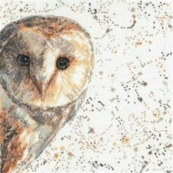 Bree Merryn Olive The Owl Cross Stitch Kit On Aida (25.5cm X 25.5cm)