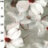 Viscose Poplin Prints White Floral On Grey Fabric Bundle (6m) -SEWINGSTREET Sales oi6687