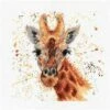Bree Merryn Geraldine The Giraffe Cross Stitch Kit On Aida (20 X 20cm) 2 Bree Merryn Geraldine The Giraffe Cross Stitch Kit On Aida (20 X 20cm) -SEWINGSTREET Sales xgc231
